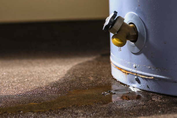 Best 24/7 water damage repair  in Contoocook, NH
