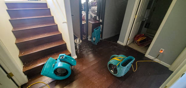 Best Fire Damage Restoration  in Contoocook, NH