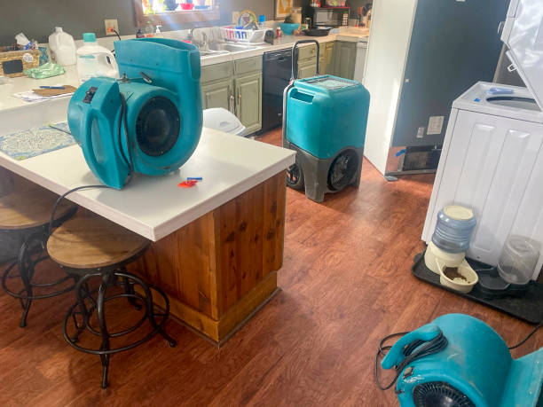 Best Ceiling water damage repair  in Contoocook, NH