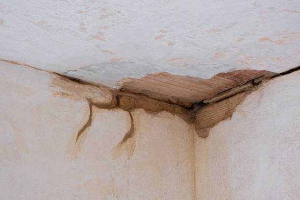 Best Flooded house restoration  in Contoocook, NH