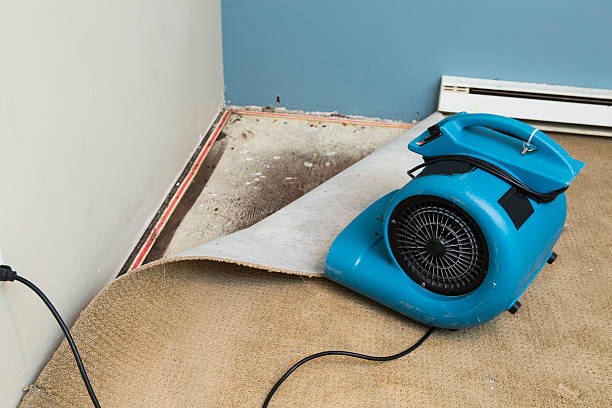 , NH Water damage restoration Company